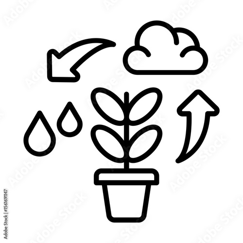 photosynthesis