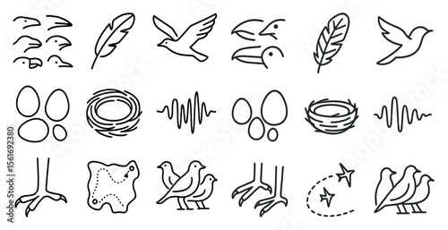 Set of bird icons, including a bird with a nest, a bird with a feather, and a bird with a beak