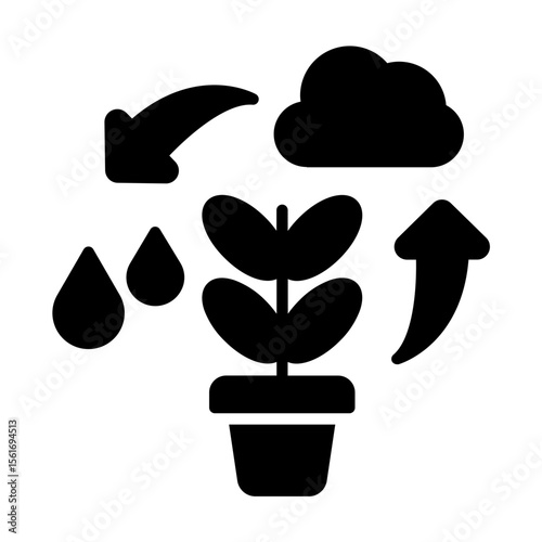 photosynthesis