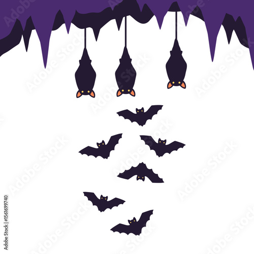 Bats hanging upside down in cave with wings spread wide  