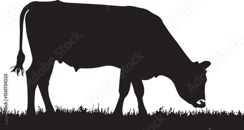 Brown and white cow grazing peacefully on a lush green meadow under a bright blue sky