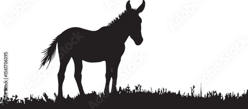 Wild horse vector illustration of a horse on grass