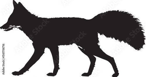 Black and white photography captures the striking contrast between a wild wolf and a domesticated dog