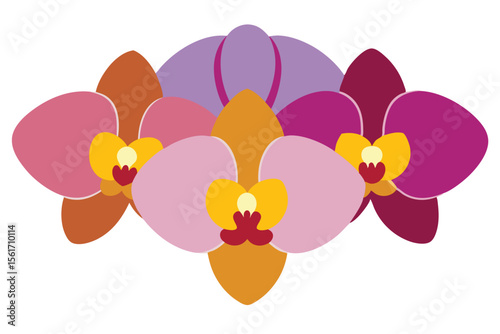 Elegant orchid clusters in mixed colors botanical illustration