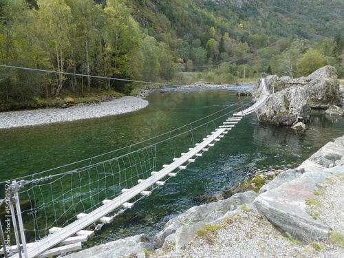 Serene Suspension Bridge Over Crystal River

