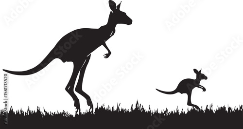 Kangaroo vector illustration with baby kangaroo on white background