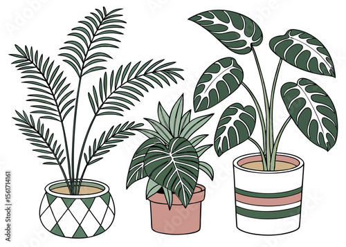 Botanical indoor plants in pots, decorative houseplant collection, trendy style vector illustration