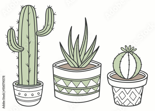 Cactus and succulent plants in decorative pots, botanical garden, desert flora vector illustration