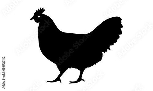 A lone rooster with a prominent beak stands as a vibrant illustration of poultry and nature on a white background, embodying the spirit of the farmA lone rooster with a prominent beak stands as a vibr