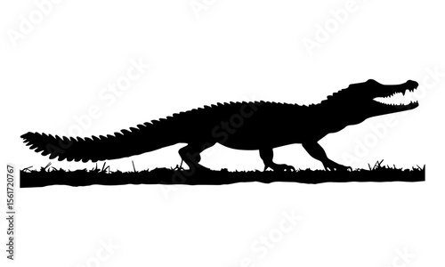 Silhouette of a tyrannosaurus rex dinosaur isolated on white background vector illustration.