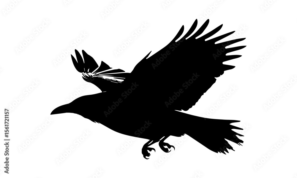 Fototapeta premium Elegant flying eagle silhouette vector design isolated on white.