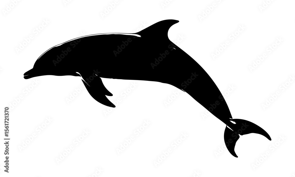 Fototapeta premium Dolphin silhouette jumping isolated on white background.
