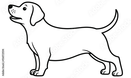 beagle dog vector illustration