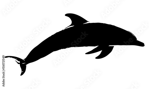 Silhouette of dolphin isolated on white background.