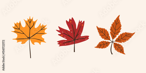 Abstract green and orange leaves of various shapes. Autumn season elements collection. Botanic fall season hand drawn tree leaves set for seasonal design and holidays