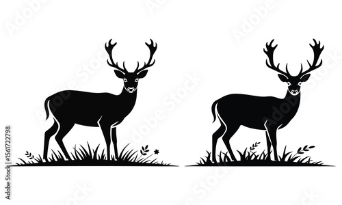 silhouette of a deer