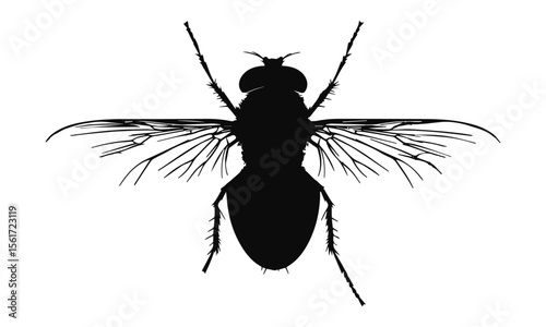 Close-up vector illustrations of isolated black and white insect pests like a fly, mosquito, and hairy spider with detailed wings.