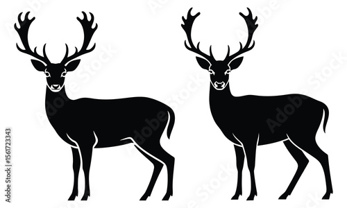 silhouette of deer