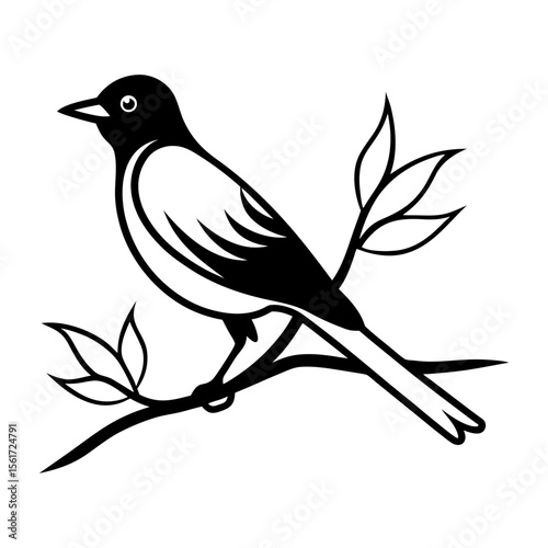 Bird on a branch vector art, a bird silhouette, a black bird on a branch icon silhouette isolated