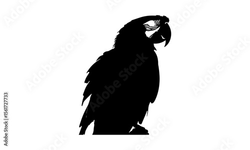 A striking black silhouette of an eagle flying with outstretched wings, ideal for a vector illustration or tattoo design.
