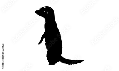 Black silhouette of a running domestic cat, dog, or other mammal.