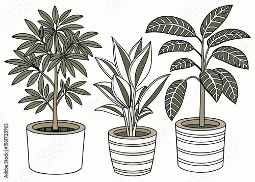 Three potted houseplants indoor plants home decor gardening nature design element vector illustration
