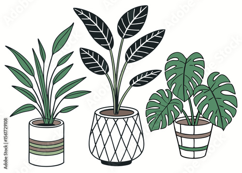 Three potted plants, house decor, botanical art, indoor garden, green leaves, simple vector illustration