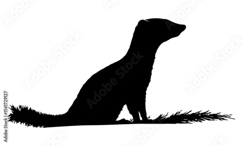 Black vector animal illustration featuring wild bear, polar bear, and bear cub silhouettes, perfect for wildlife icons.