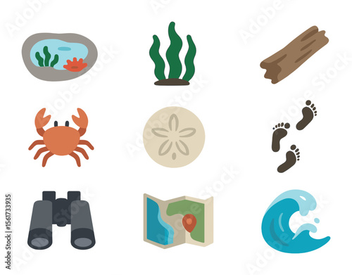 Exploring Shore Icons. Flat icon set of exploring the shore: tide pool, seaweed, driftwood, tiny crab, sand