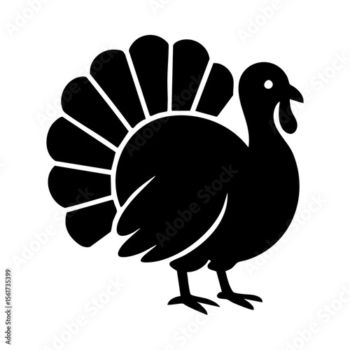 Turkey silhouette showing large tail feathers for Thanksgiving concept