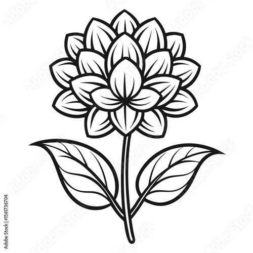 gilliflower line  art vector on-white-background