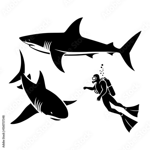 Silhouette of a scuba diver swimming near two sharks underwater