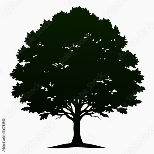 hornbeam silhouette on white background