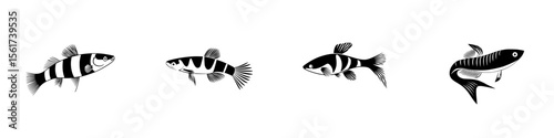 Silhouette pictogram set featuring various types of decorative fish in black and white design displayed in a linear arrangement