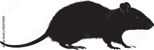 Black vector silhouette illustration of a wild animal: bear, wolf, mouse, rat, dog, or pig, funny cartoon art icon.
