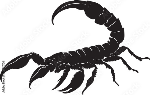 Black scorpion with a raised poisonous tail isolated on a white background.