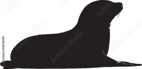 Black sea lion vector illustration: a wild mammal silhouette drawing, like a dog's outline in nature.