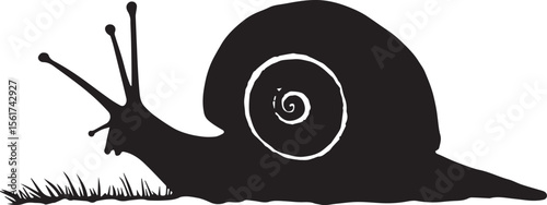 A lone snail, reminiscent of a black eight ball, navigates its world on a white background, a road, or even a skateboard, symbolizing a slow but determined journey through the game of life.