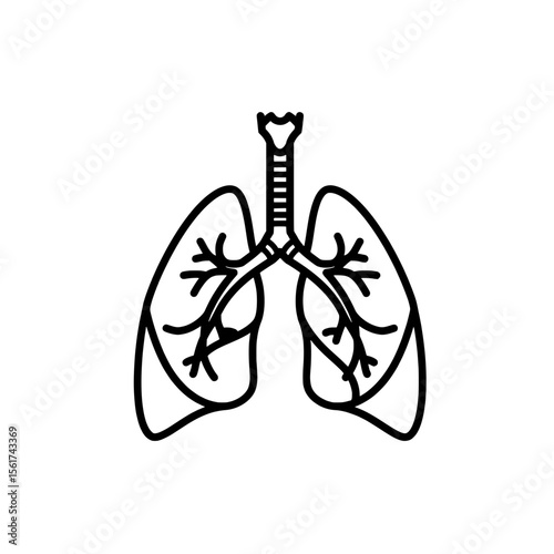 Lungs Anatomy Icon: A simple yet detailed line art illustration of human lungs, showcasing their intricate bronchial structure. Perfect for educational materials or medical websites. 
