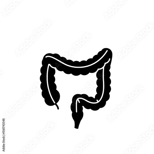 The Intestine&#x20;

Simplified representation of the human intestine, showcasing its intricate form. Focuses on digestive process and internal organ system. 
