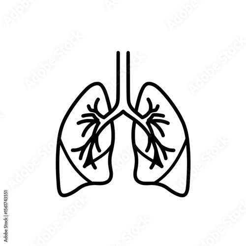 Human lungs illustration: A detailed illustration of the human lungs, a crucial component of the respiratory system, offering a clear and precise representation of the organ's structure.