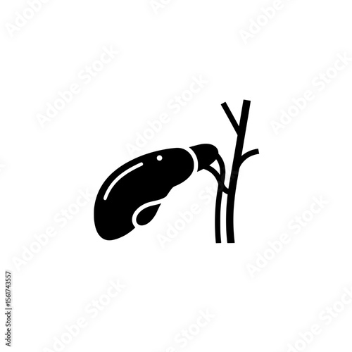 Anatomical Insight: A simplified illustration of the human gallbladder, depicted in a stark and clean style, offering a clear representation for educational or medical purposes.