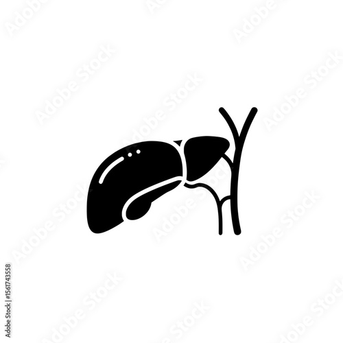 Human Liver Anatomy Illustration: A detailed and accurate illustration of the human liver and its associated components, perfect for educational, medical, and scientific purposes.