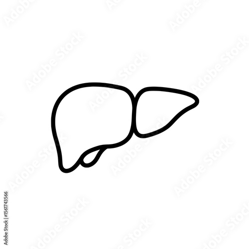 Anatomical Illustration of Liver: A simple yet detailed, a linear outline of the liver. This illustration emphasizes clarity and precision, perfect for medical and educational contexts.