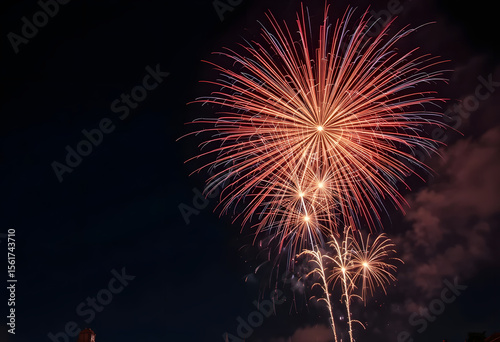 Fiery bursts illuminate dark sky fireworks night sky