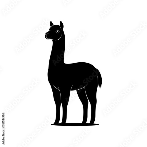 Alpaca Vector Silhoette