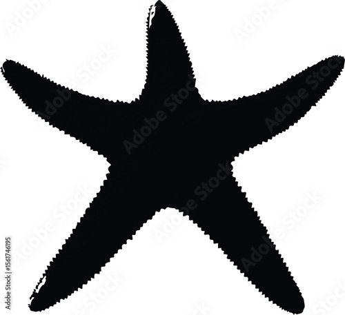 A single tropical starfish isolated on a black background displays its unique shape and marine life.