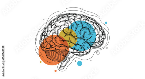 Understanding the Human Brain and Its Complex Functions and Processes Visualized Through an Artistic Illustration