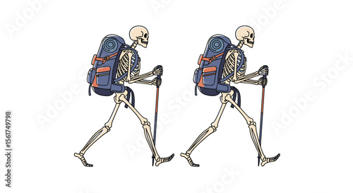 Two Skeletons with Backpacks and Trekking Poles Walking Together on a White Background