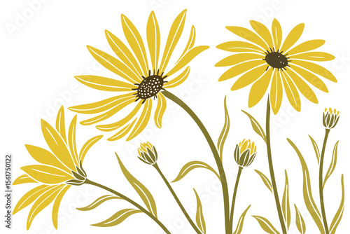 Bright yellow sunflowers radiating outwards on a clean background for advertising